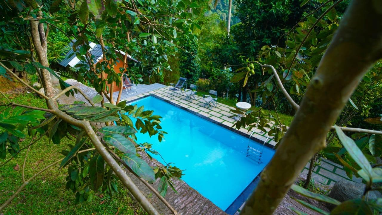 6BHK Private Pool Resort Munnar | Deluxe Villa & Wooden Huts