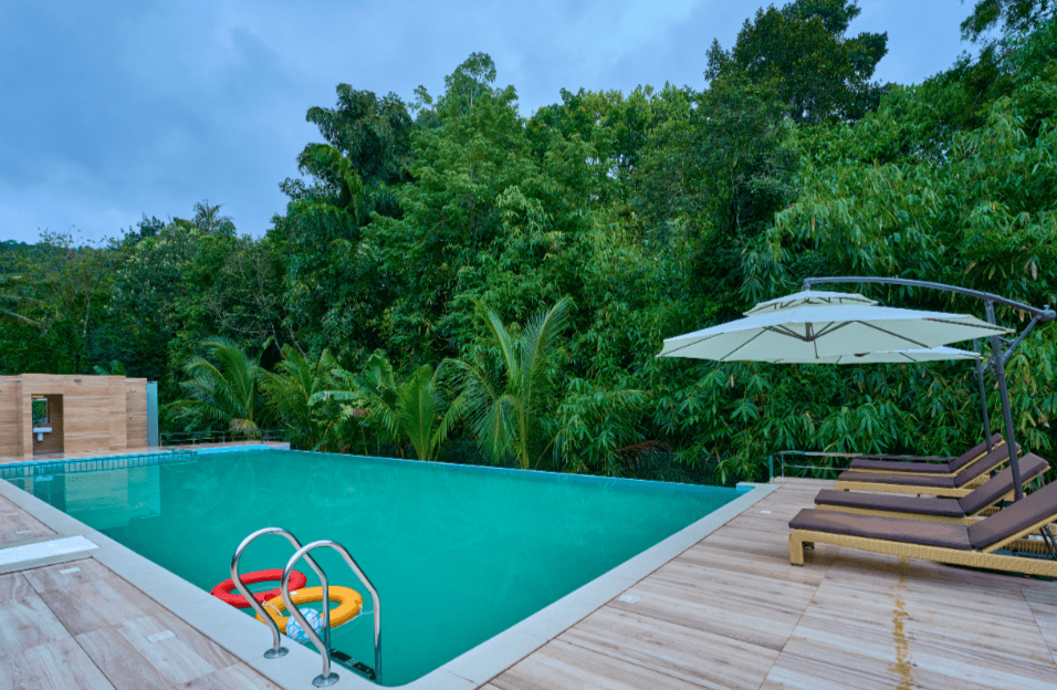 Single Bedroom Private Pool Villa in Munnar | Couple Stay