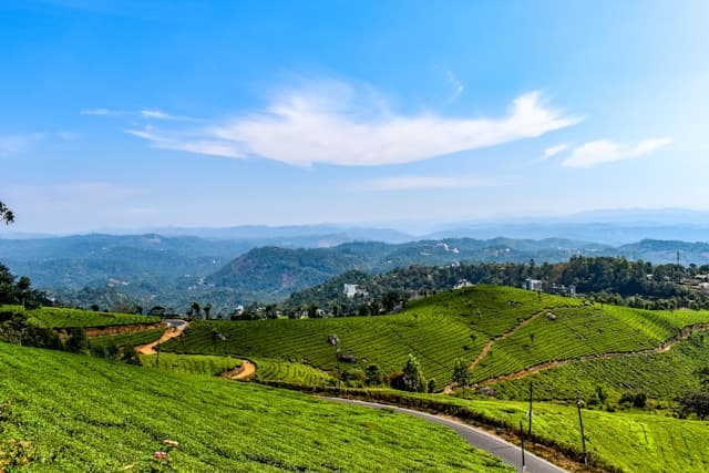 Private pool stays in Munnar