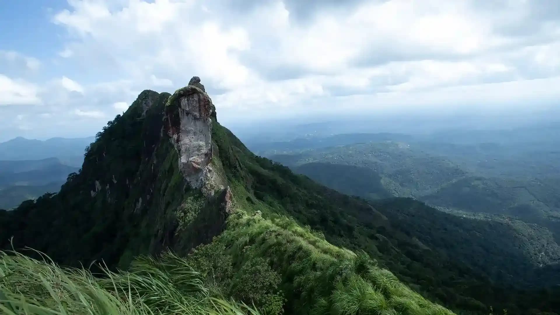Private pool stays in Kottayam